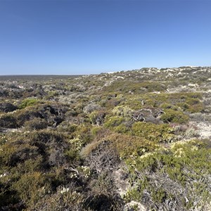 Ruin: Coontama Hut (approx)