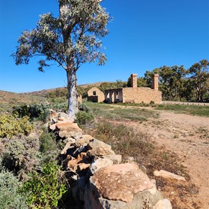 Ruin: Kanyaka Station