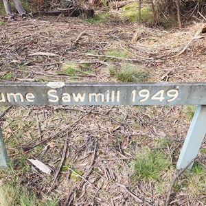 Ruin: Hume saw mill