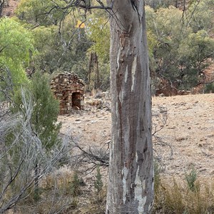 Ruin: Glass Hut Ruin (approx)