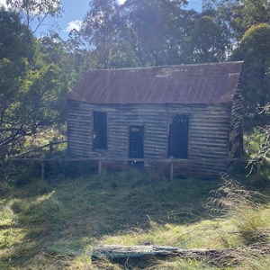 Ruin: Camms Top Place Hut (1912)