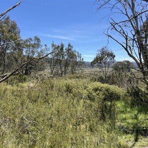 Ruin: Chesters hut (1923)