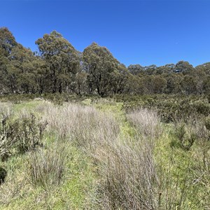 Ruin: Chesters hut (1923)