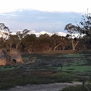 Ruin: Bucks Camp Homestead