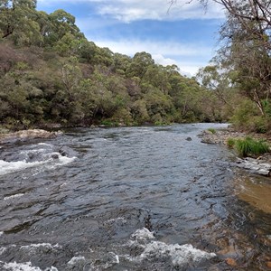 Fishermans Bend camping area