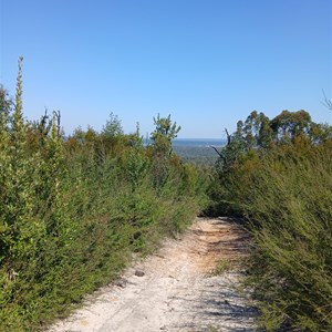Holey Hill Camping Area
