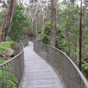 Elevated boardwalk