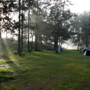 Belowra camping area