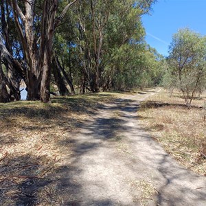 Tyntynder Central Reserve