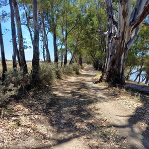 Tyntynder Central Reserve