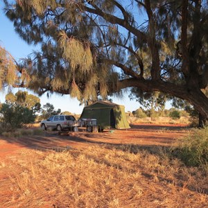 Campsite with shady desert oaks