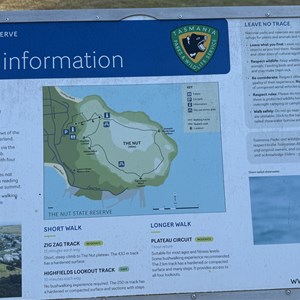 The Nut Summit Walking Track