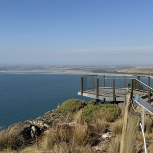 The Nut Summit Walking Track