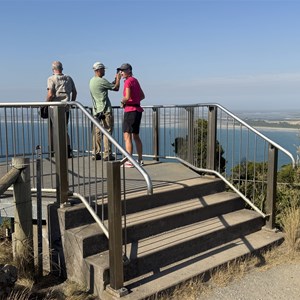 The Nut Summit Walking Track