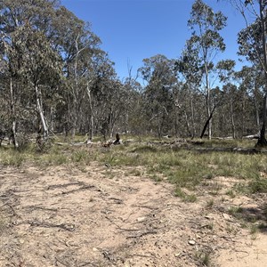 Cobbler Lake Track Open Camp Site
