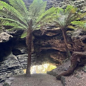 Trowutta Arch