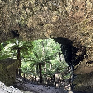 Trowutta Arch Walk