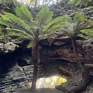 Trowutta Arch Walk