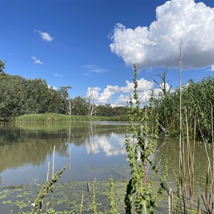 Wonga Wetlands