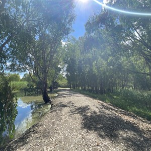 Wonga Wetlands