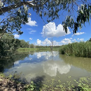 Wonga Wetlands