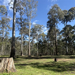 Horse Swamp Campground