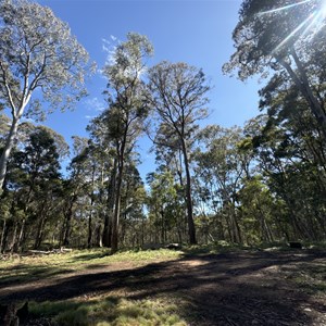 Horse Swamp Campground