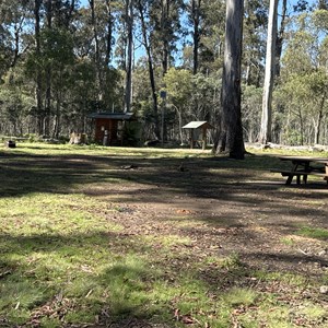 Horse Swamp Campground