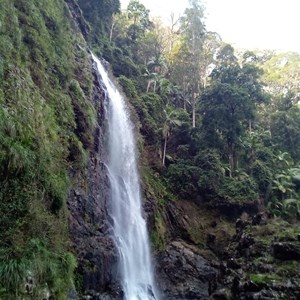 Red Cedar Falls