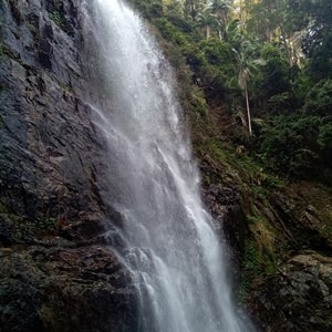 Red Cedar Falls