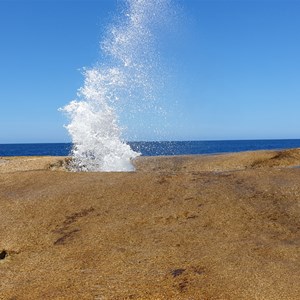 Bicheno Blowhole