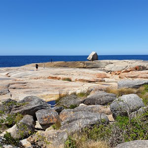 Bicheno Blowhole 