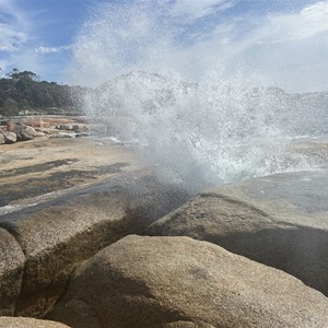 Bicheno Blowhole