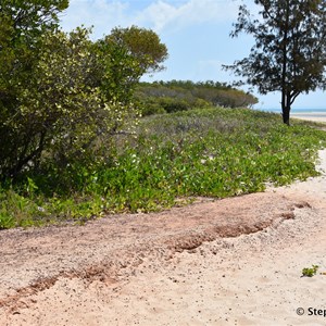 Galuru (East Woody Beach )