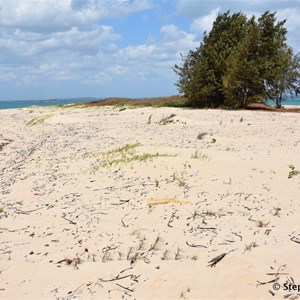 Dundas Point 