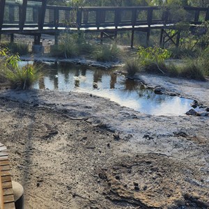 Talaroo Hot Springs