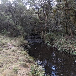 Banksia Camping Area