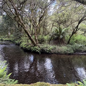 Dilgry River Camping Area