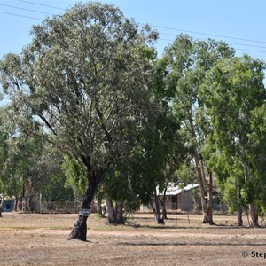 Barunga (Bamyili)