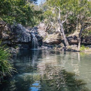 Kondalilla Falls