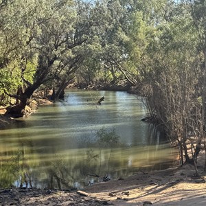 Hodgson River Bridge