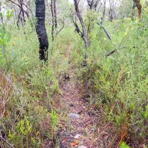 Secret Track To Refuge Bay