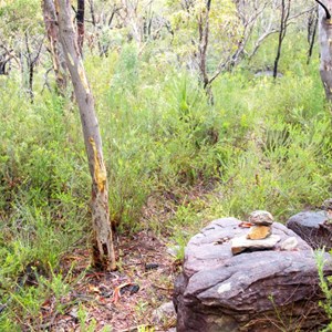 Secret Track To Refuge Bay