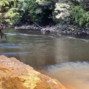 Walk Confluence Of King & Queen Rivers