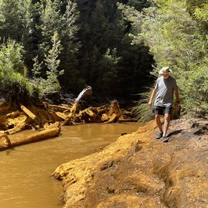 Walk Confluence Of King & Queen Rivers