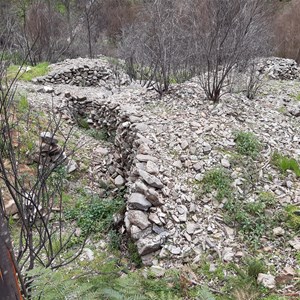 Sassafras Cemetery