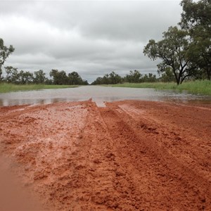 The road in to King Ash Bay