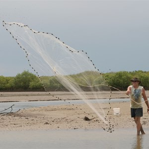 Casting for live bait