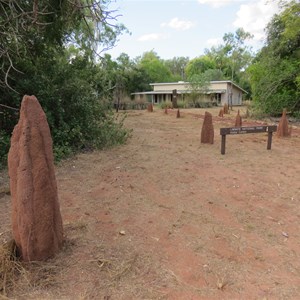 Termite mound boulevarde