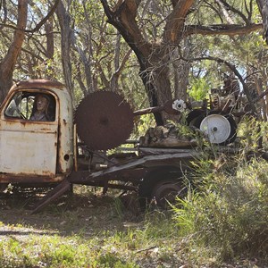 Chainsaw Sculpture Drive
